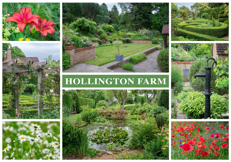 Hollington Farm